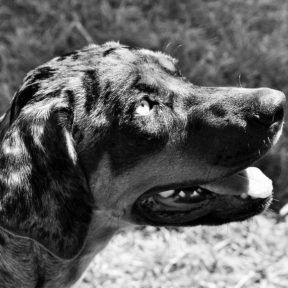 Meet your Posher, Terry - Picture 1 of 1